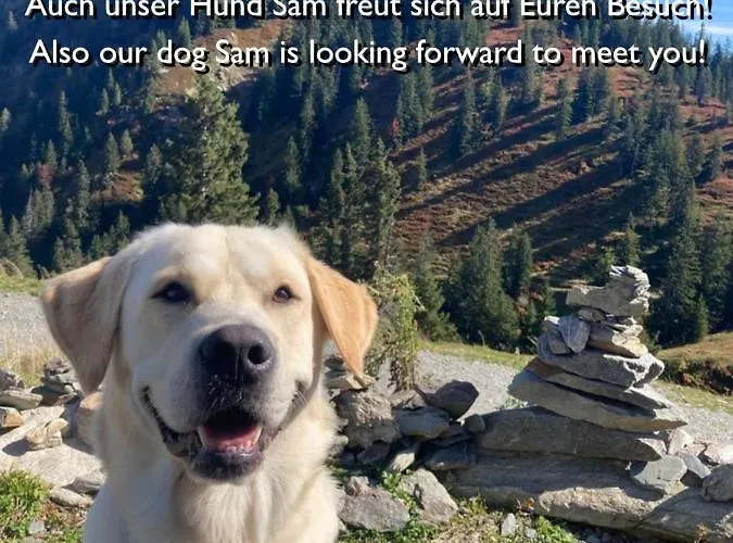 Appartement Muehltal